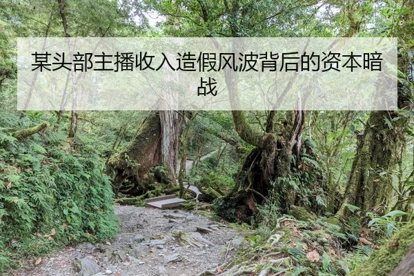 mou-tou-bu-zhu-bo-shou-ru-zao-jia-feng-bo-bei-hou-de-zi-ben-an-zhan-2-884.jpg